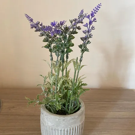 Apartman Helena