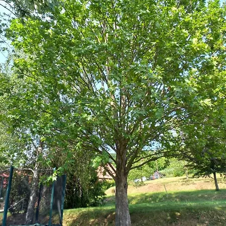 Helena Appartement *